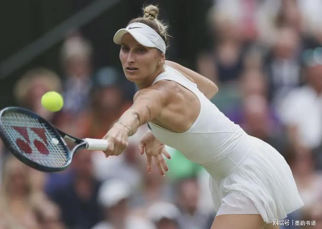 组赛豪取3 组赛豪取3