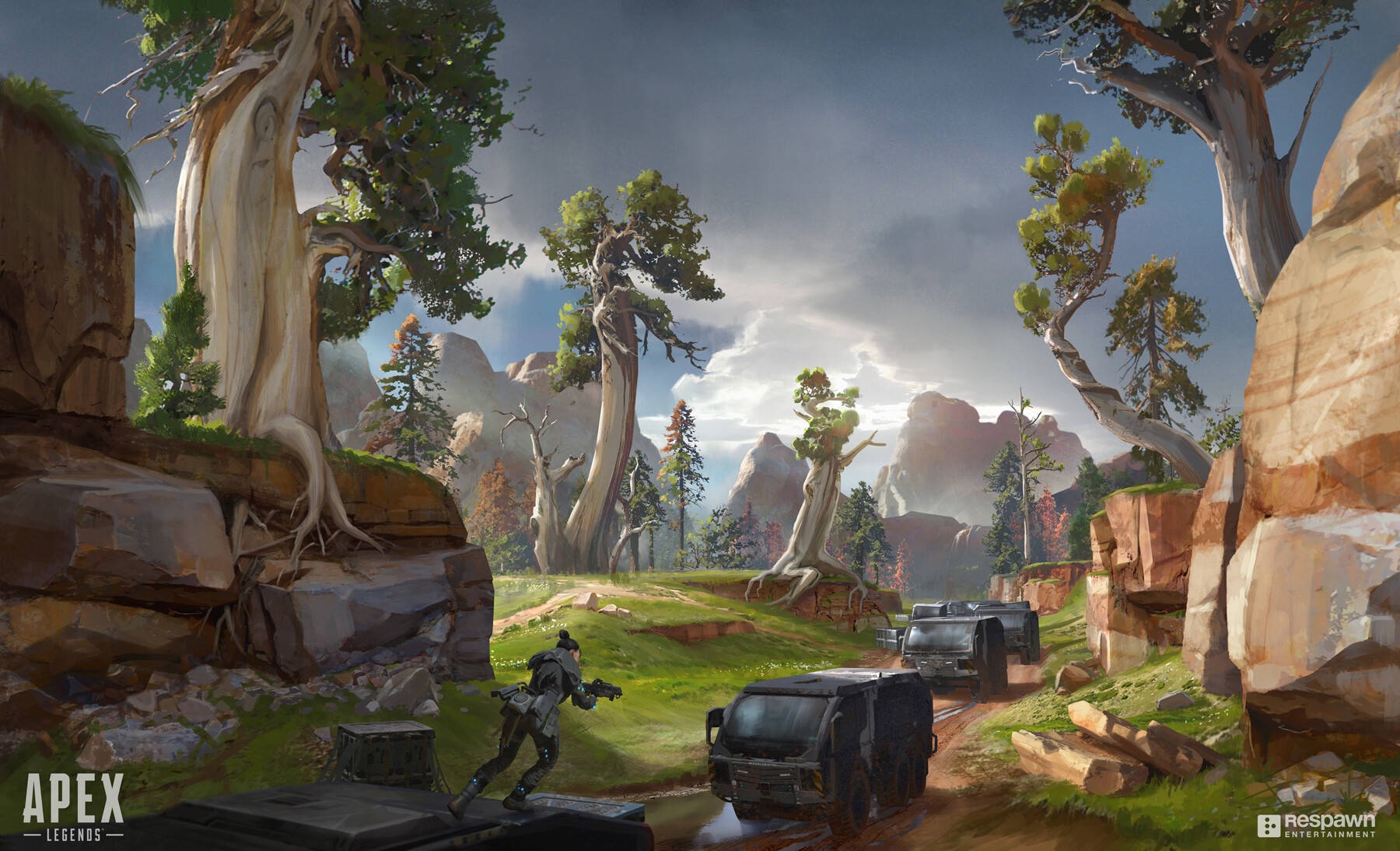 拥有成熟中 拥有成熟中